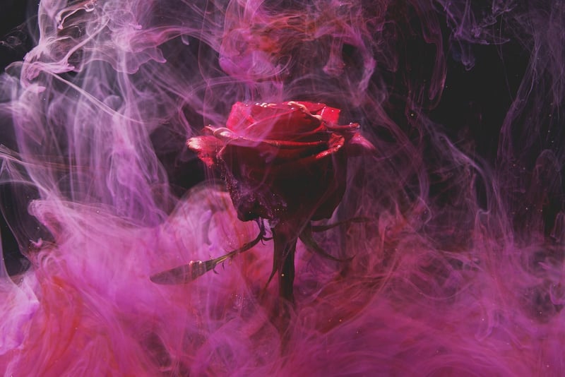 Artistic Blossoms