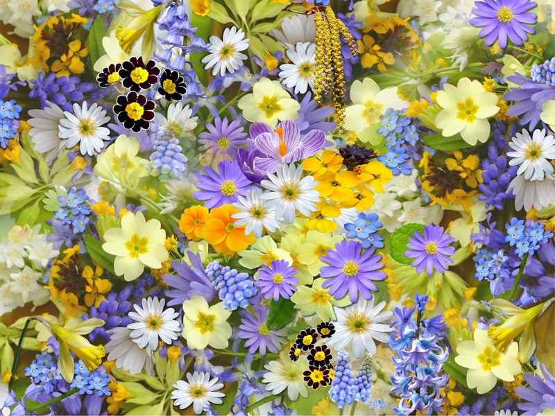 Floral Motifs